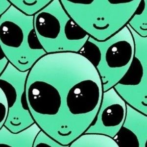 Meet your Posher, Ivy